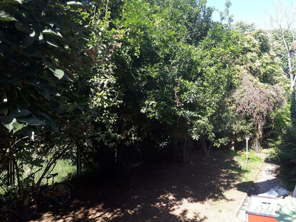 La Casa Di Mango E Pistacchio Hotel Segrate Bagian luar foto